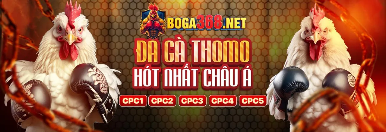 Chiến lược cá cược thể thao vsbet casino