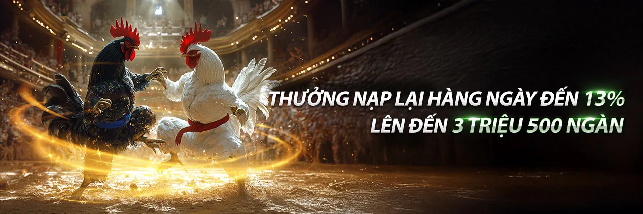 Đá Gà Trực Tuyến vsbet casino 2026